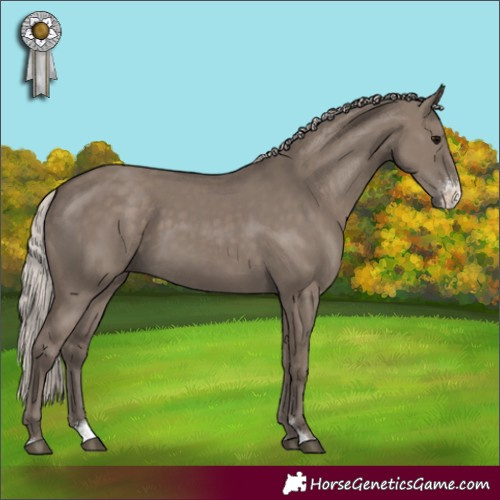 Horse Color:Silver Grullo Sabino