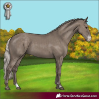 Horse Color:Silver Grullo Sabino 