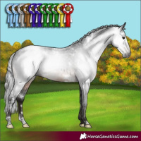 Horse Color:Gray White Spotted Brown Roan Mushroom Snowcap