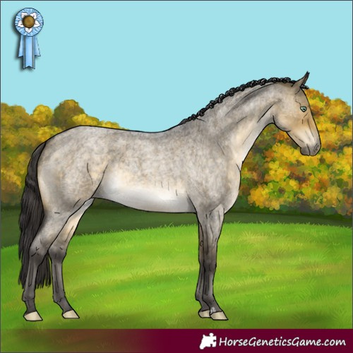 Horse Color:Buckskin Roan Dun Mushroom 