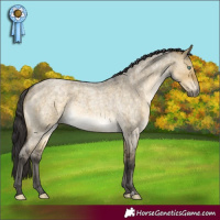 Horse Color:Buckskin Roan Dun Mushroom 