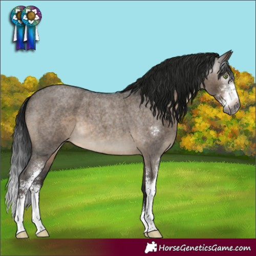 Horse Color:Gray Brown Roan Dun Mushroom Sabino Brindle 