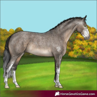 Horse Color:Gray Brown Roan Dun Mushroom Sabino Brindle 