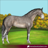 Horse Color:Gray Brown Roan Dun Mushroom Sabino Brindle 