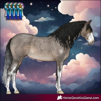 Horse Color:Gray Brown Roan Dun Mushroom Sabino Brindle 