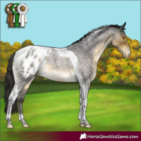 Horse Color:Buckskin Roan Mushroom Tobiano Appaloosa Rabicano 