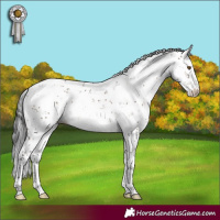 Horse Color:Brown Dun Mushroom Sabino 
