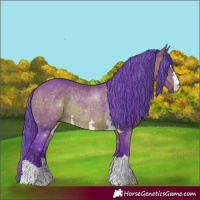 Horse Color:Painted Watercolor Bay Rabicano 