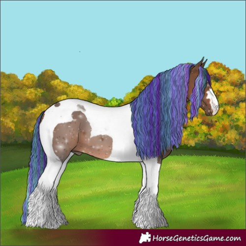Horse Color:Painted Brown Tobiano