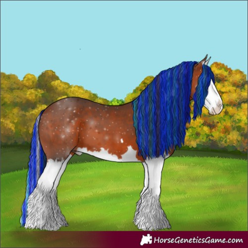 Horse Color:Painted Bay Splash 