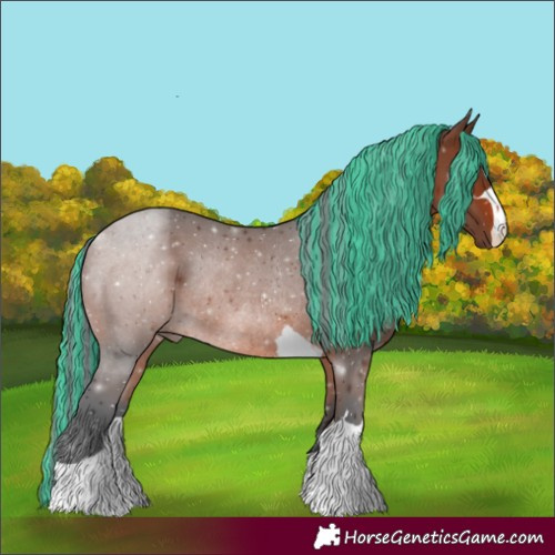 Horse Color:Painted Brown Rabicano 