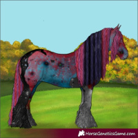 Horse Color:ERROR: UNKNOWN ANOMALY