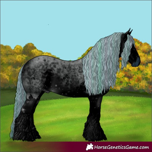 Horse Color:ERROR: UNKNOWN ANOMALY