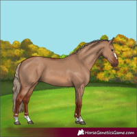 Horse Color:Red Dun 