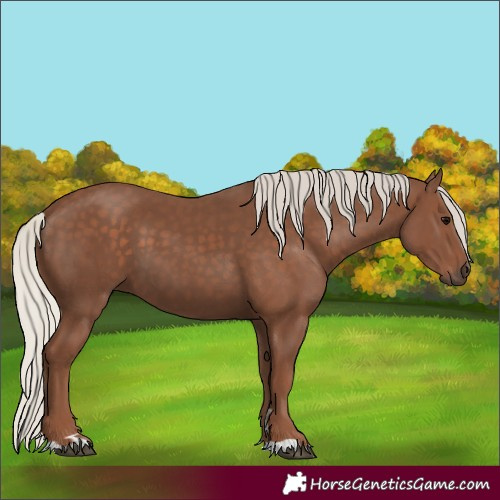 Horse Color:Silver Black