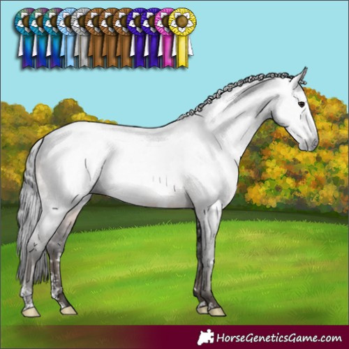 Horse Color:Gray White Spotted Brown Mushroom Sabino 