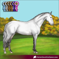 Horse Color:Gray White Spotted Brown Mushroom Sabino 