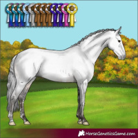Horse Color:Gray White Spotted Brown Mushroom Sabino 