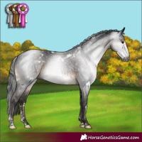 Horse Color:Gray White Spotted Brown Mushroom Sabino 