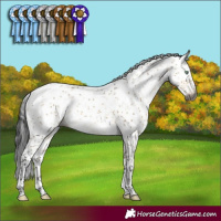 Horse Color:Gray Buckskin Dun Mushroom Sabino Splash 