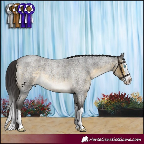 Horse Color:Buckskin Roan Mushroom Sabino Splash 