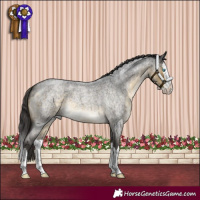 Horse Color:Buckskin Roan Mushroom Sabino Splash 