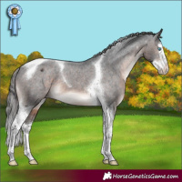 Horse Color:Brown Mushroom Sabino Splash Tobiano Varnish