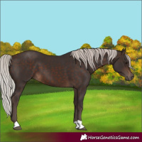 Horse Color:Silver Brown