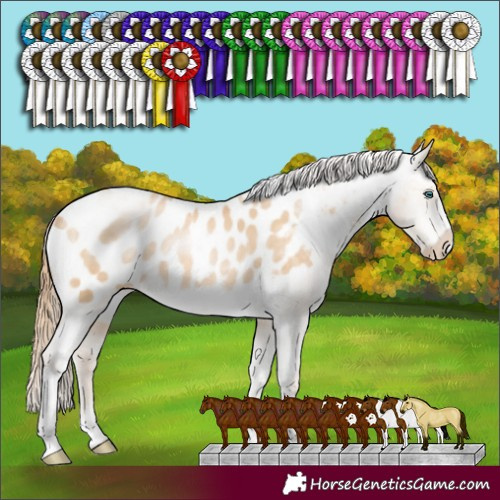 Horse Color:Buckskin Pearl Sabino Tobiano Frame Blanket 