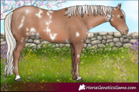 Horse Color:White Spotted Chocolate Silver Black Pearl 