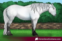 Horse Color:ERROR: UNKNOWN ANOMALY