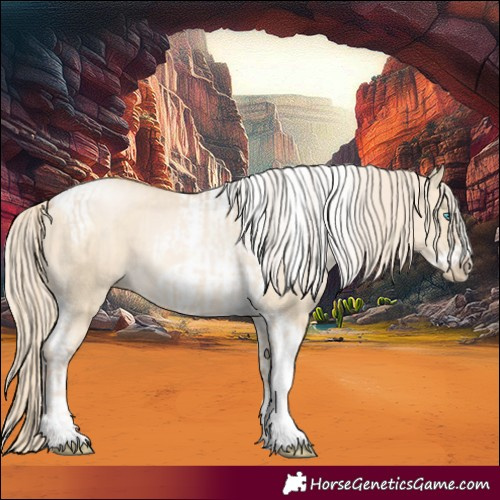 Horse Color:Chocolate Palomino Pearl Dun Tobiano Frame  and Palomino Pearl Dun Tobiano Frame 