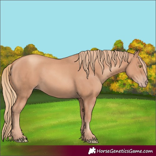 Horse Color:Gold Champagne 