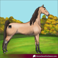 Horse Color:Bay Dun 