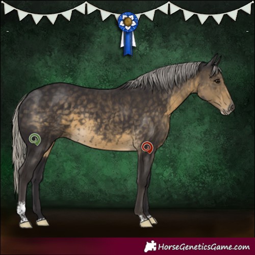 Horse Color:Silver Smoky Black Sabino 