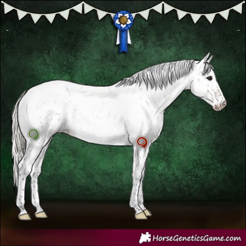 Horse Color:Silver Smoky Black Sabino 