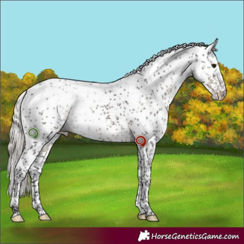 Horse Color:Silver Smoky Black Sabino 