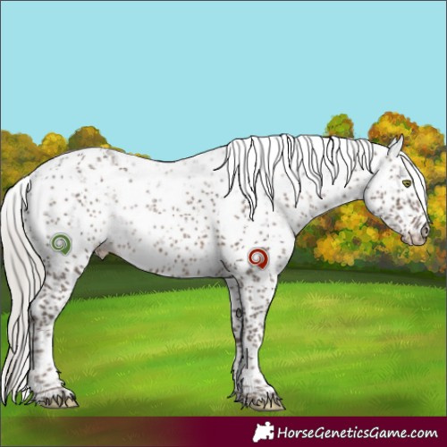 Horse Color:Silver Black Sabino 