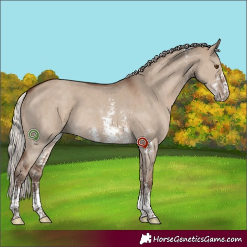 Horse Color:Silver Grullo Sabino 