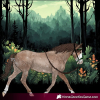 Horse Color:Classic Champagne Sabino 