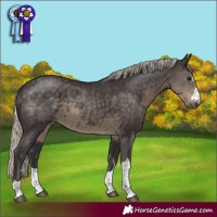 Horse Color:Silver Smoky Black 