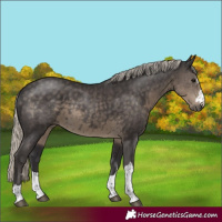 Horse Color:Silver Smoky Black 