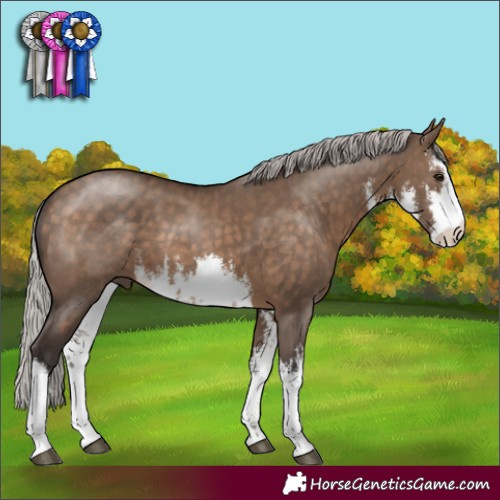 Horse Color:White Spotted Silver Brown Dun 