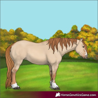Horse Color:Red Dun 