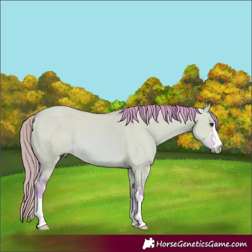 Horse Color:Watercolor Red Dun