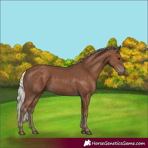 Horse Color:Silver Black