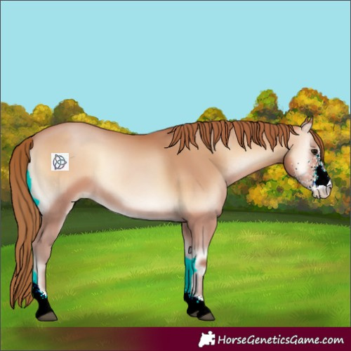 Horse Color:Brown Pearl Onyx Sabino 