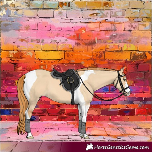 Horse Color:Red Dun Tobiano 