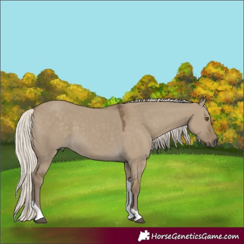 Horse Color:Silver Smoky Grullo Tobiano 