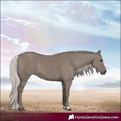 Horse Color:Silver Grullo 